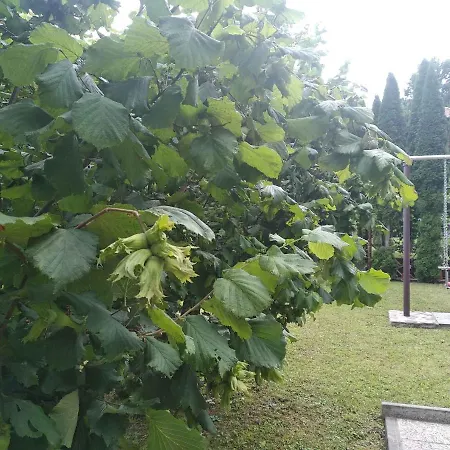 Сasa de vacaciones In Turke/gorski Kotar 34884 *